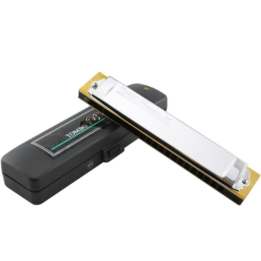 通宝（TOMBO） 日本原装进口21孔复音口琴3521演奏级专业款成人表演录音送人 21孔E调