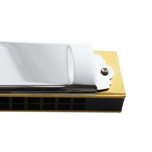 通宝（TOMBO） 日本原装进口21孔复音口琴3521演奏级专业款成人表演录音送人 21孔E调