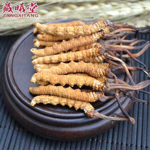 藏曦堂 冬虫夏草西藏那曲  虫草4-5根1克 冬虫夏草  4-5根根1克 内装15克