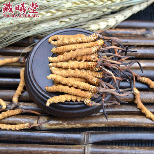 藏曦堂 冬虫夏草西藏那曲  虫草4-5根1克 冬虫夏草  4-5根根1克 内装15克