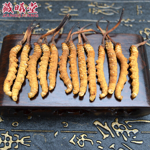 藏曦堂 冬虫夏草西藏那曲  虫草4-5根1克 冬虫夏草  4-5根根1克 内装15克