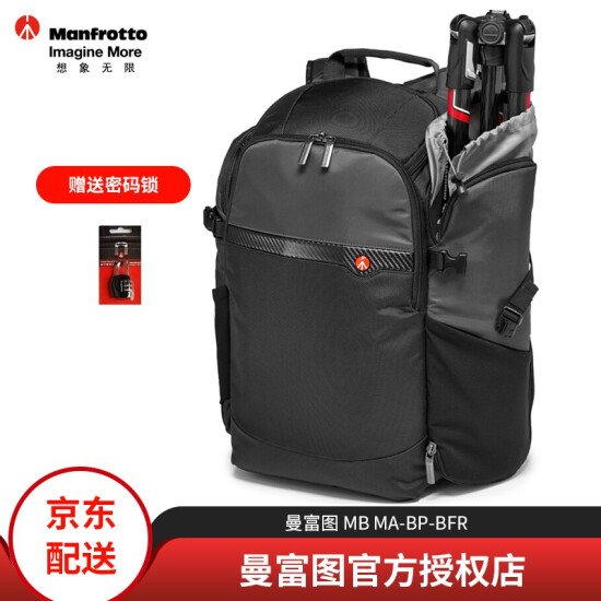 manfrotto befree bag