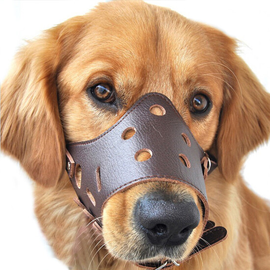 dog mouth mask