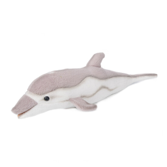 baby doll dolphin