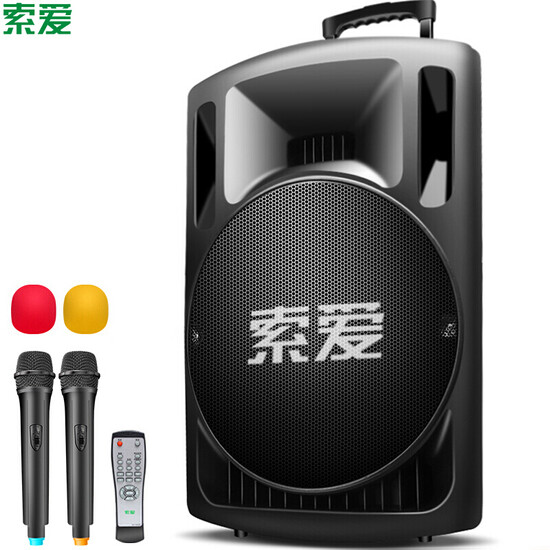 sony portable amplifier speaker with wireless microphone