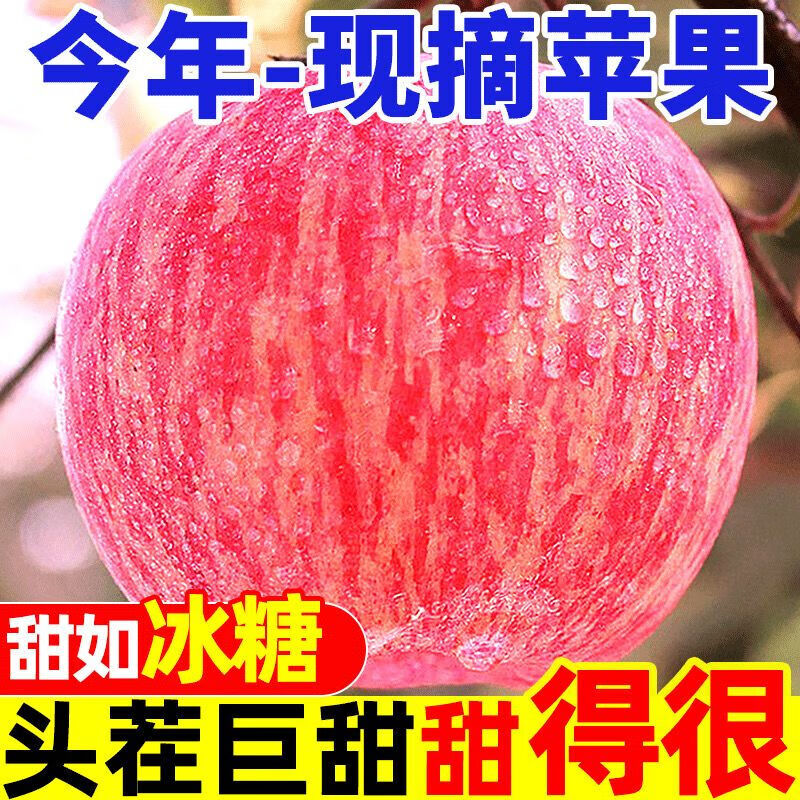 Erdie Shaanxi Red Fuji Apple Fresh Fruit 10 Jin Rock Candy Heart Seasonal Ugly Apple Seasonal Fruit Crisp Sweet Whole Box Selected 9 Jin Pack Net Weight 8.5 Jin 80-85mm