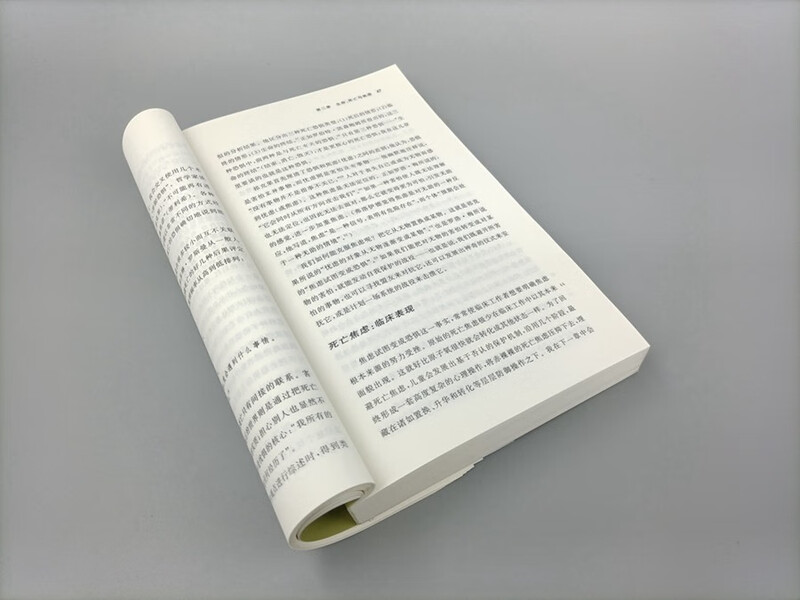 Existential Psychotherapy Professor Yaron’s Classic Textbook Deep Understanding of Death, Freedom, Loneliness and Meaninglessness Psychotherapy Translation Series