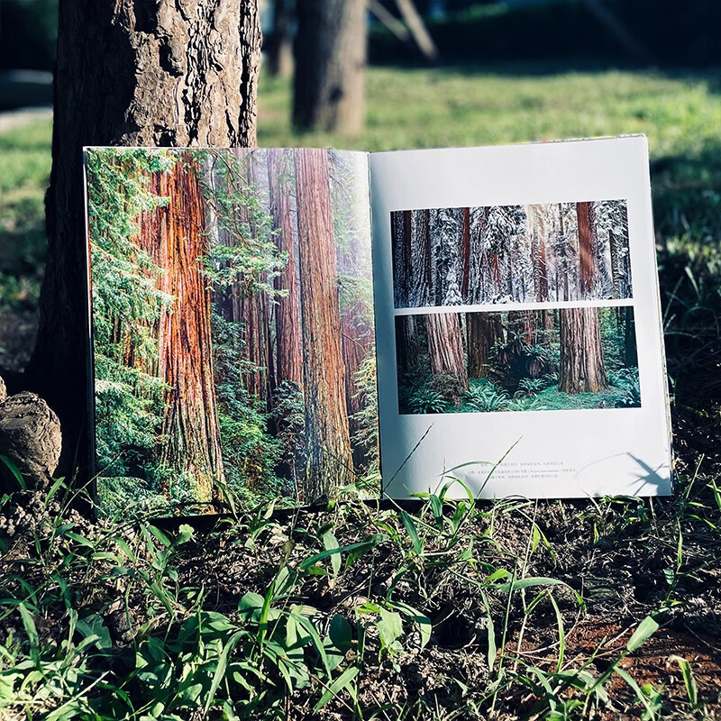 Tree Between Heaven and Earth contains nearly 300 beautiful photos, interspersed with four extra-long slides, covering the desktop with majestic momentum, rushing towards the magnificent wonders of life.