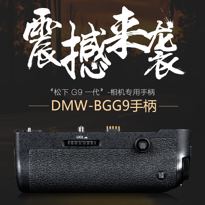 Thyssente (dste) DMW-BGG9 vertical shooting handle battery box suitable for Panasonic G9 generation mirrorless SLR camera BGG9 handle 2.4G wireless remote control with one battery