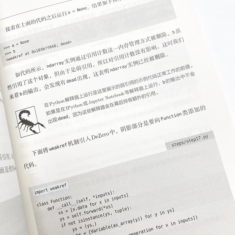 Introduction to Deep Learning 2 Homemade Framework DeepSeek Inference Optimization Basics (Produced by Turing)