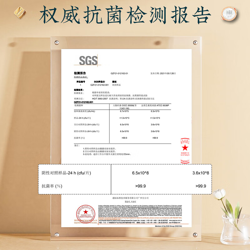 Tang Zong Chopsticks Antibacterial Rate 99.9% Chicken Wing Wooden Chopsticks 10 Pairs - Kefu Household Solid Wood High-end Wooden Tableware C3054