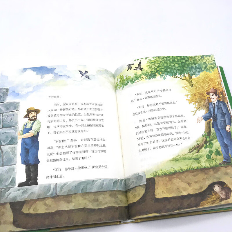 Rabbit Slope Hardcover International Award Children's Literature Art Collection Edition 7-9-10-12 Years Old Readings Extracurricular Reading Books for Primary School Students in Grades 3, 4, 5, and 6 World Classics Winter and Summer Vacation Must-read Books for Teenagers