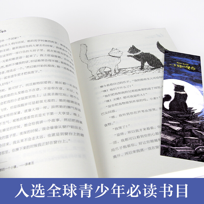 The Evergreen International Award-winning novel A Cat's Purpose. Animal novels, adventure, responsibility and other themes. Must-read for elementary and middle schools in grades 3, 4, 5 and 6. Classic extracurricular reading of International Children's Literature Award that affects children's lives.