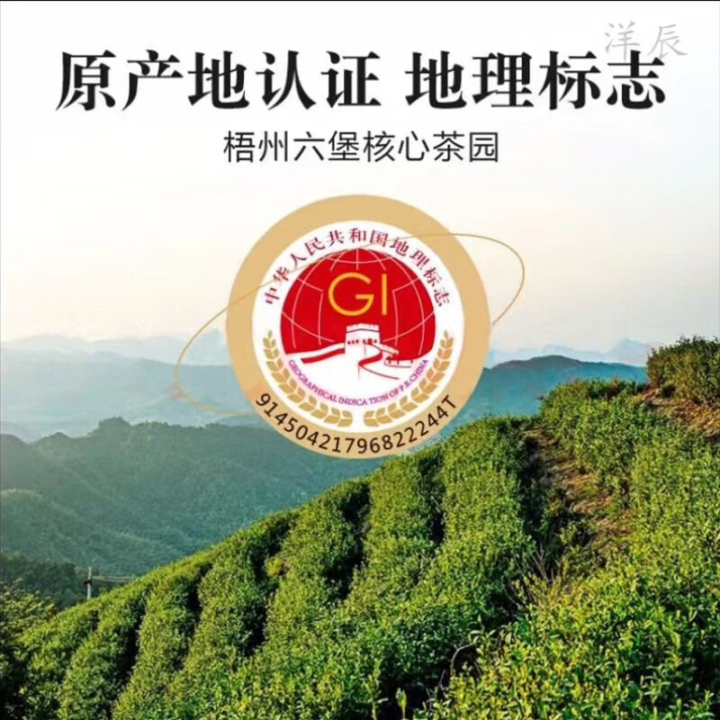 Wanglanchuan Wuzhou Guangxi Premium Liubao Tea Ten Years Old Dehumidified Black Tea Ripe Tea Boxed Gift Tea Wuzhou Specialty Ten Years Old Authentic Liubao Tea One-pound Paper Bag