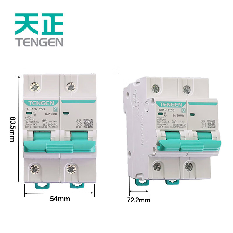 Tianzheng Electric (TENGEN) circuit breaker air switch small circuit breaker short circuit overload protection C type main switch TGB1N-125S 2P C100