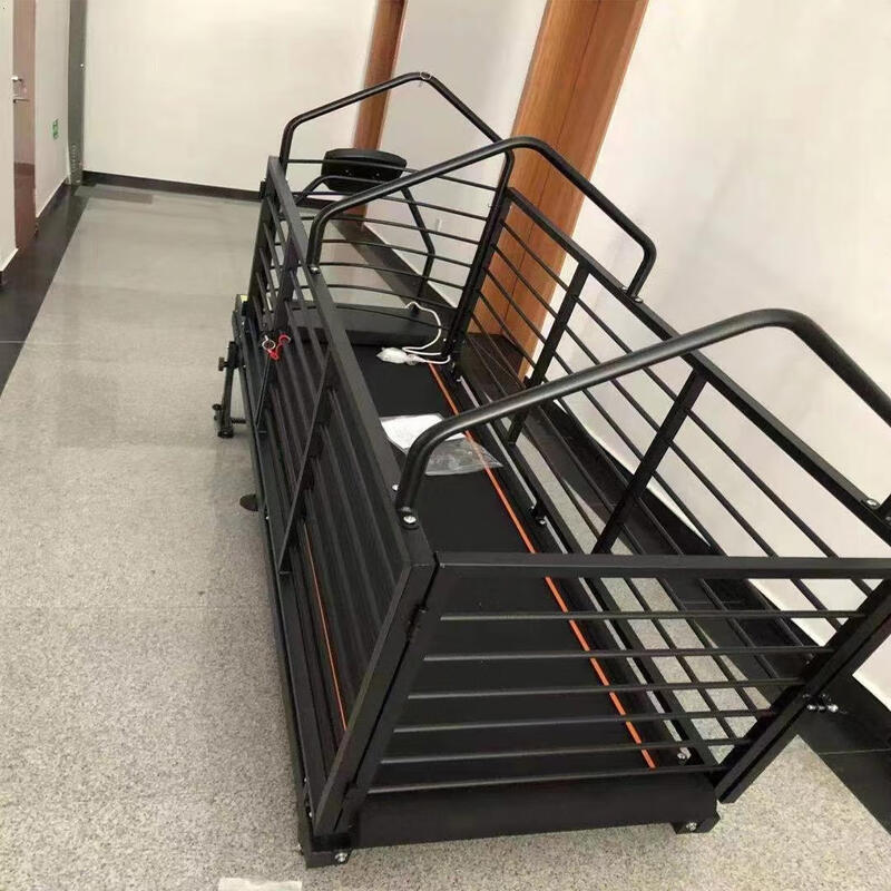 Dog Treadmill Dog Pet Treadmill Electric Treadmill Gree Dog Treadmill Police Loyal Edition Comes with Remote Control