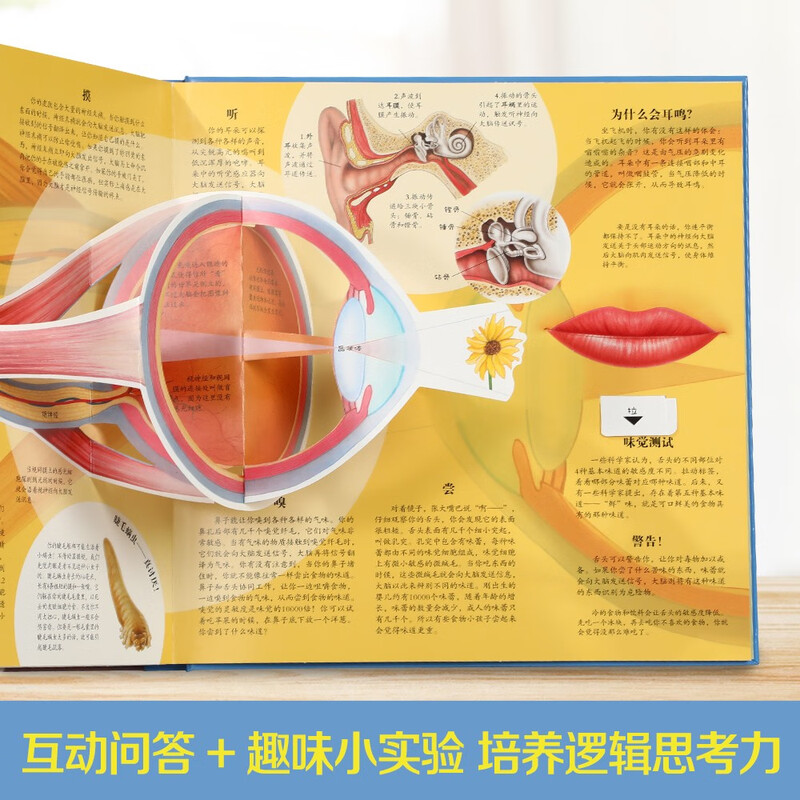 Fun and interesting popular science pop-up book (new edition) Human body 3D three-dimensional flip book 3-6 years old science encyclopedia reveals the secrets of the human body children's organ book
