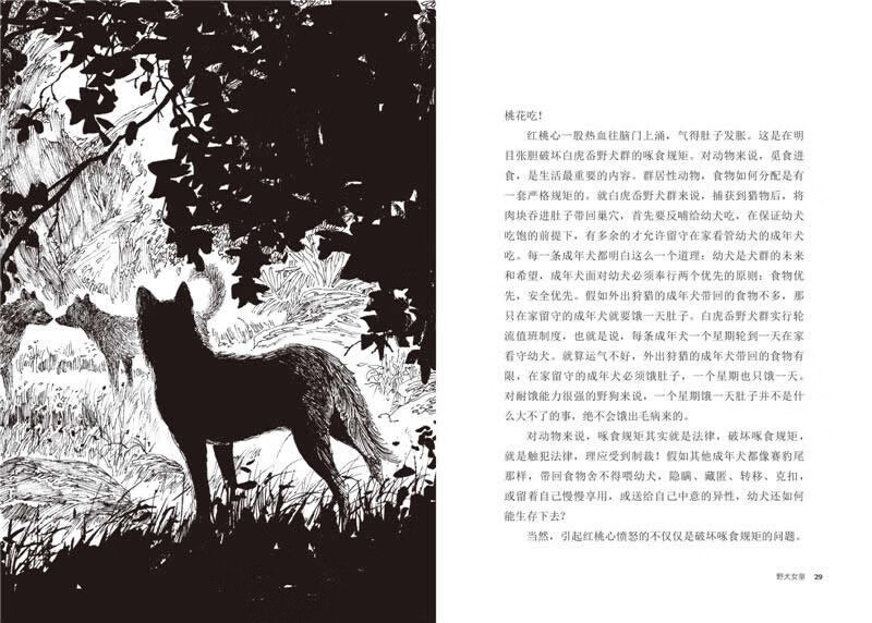 Wild Dog Queen, King of Animal Novels, Shen Shixi's Collection of Books, New Edition, Extracurricular Children's Literature Storybook for Primary School Students in Grades Three, Four, Five, and Sixth Grade, Children's Book Reading Genuine
