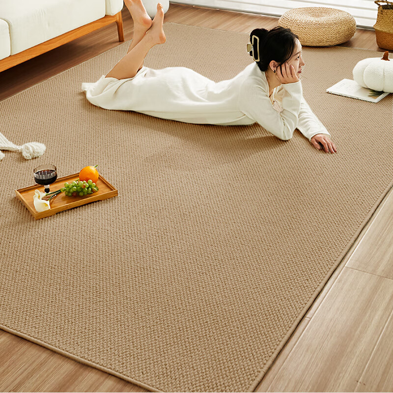 Yijian anti-cat scratch Japanese-style carpet bedside blanket living room sofa bedroom room bedside bay window studio floor mat for photo taking camel 80*120cm