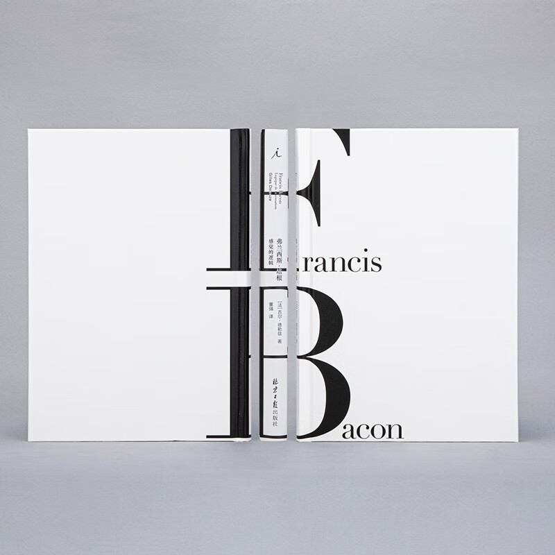 Francis Bacon The Logic of Sense