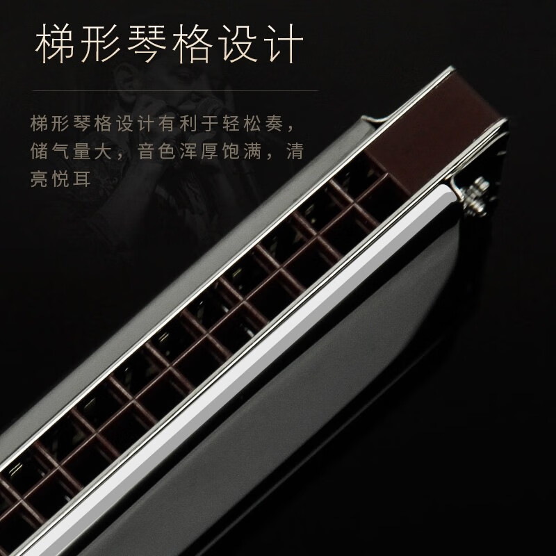 Swan Germany imported 28-hole accented harmonica, advanced adult professional performance level, polyphonic C key, beginner student self-taught instrument, black polyphonic C key + learning materials + 300 music scores