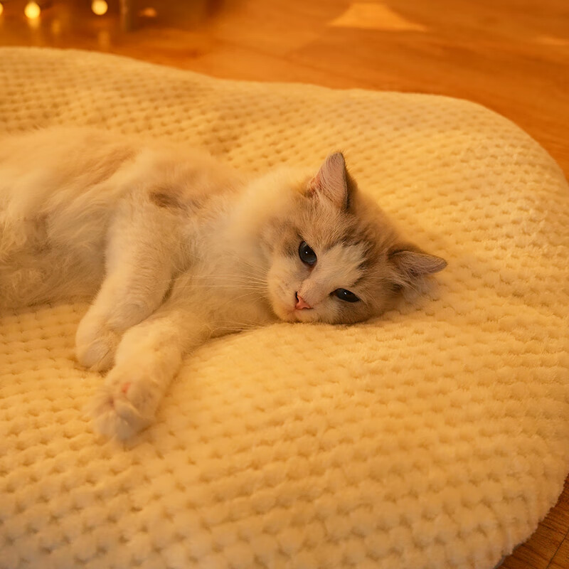 Fandu pet house kennel mat sleeping mat thickened plus velvet washable cat mattress winter warm cat sleeping mat medium size