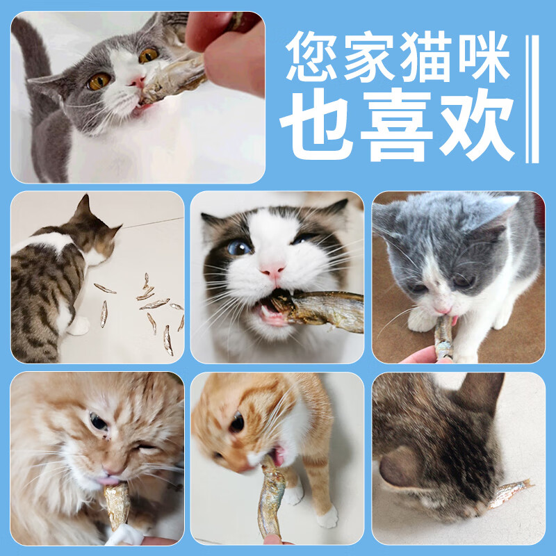 Hanhan Paradise Small Fish Dried Cat Snacks Natural Healthy Dried Fish Kitten Snacks All Stage Cat Snacks 40g