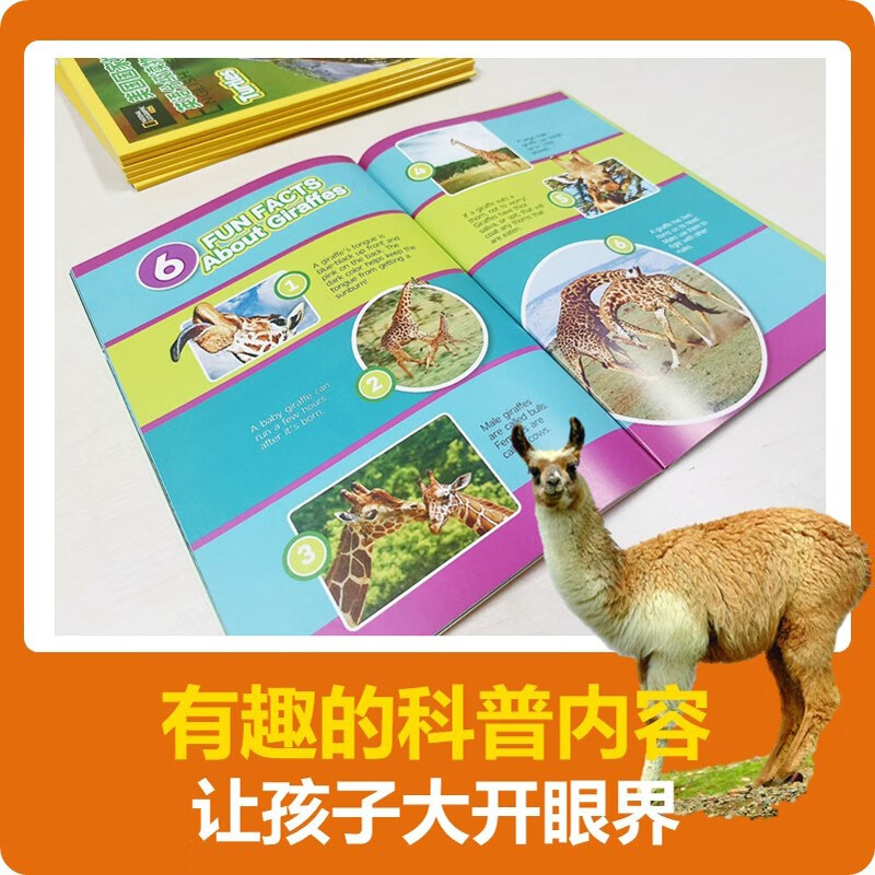 Malt Master Little Koala Dot Reading Pen Matching Book National Geographic Popular Science English Graded Reading English Enlightenment Learning Book Foreign Language Graded Reading Classic IP National Geographic Ladder Graded Reading Some contain dot reading pens Level 2 Suitable for middle and upper grades of primary school