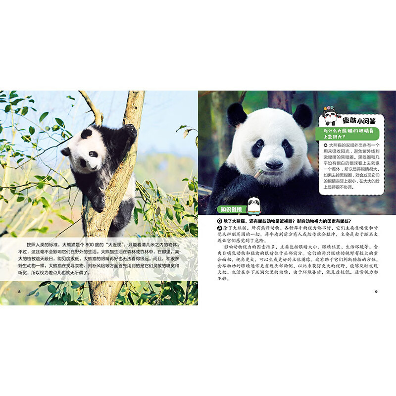 Guolai! Giant Panda This is an original giant panda encyclopedia that explains the knowledge of giant pandas from all aspects and from multiple angles. It contains precious pictures of giant pandas and records wonderful moments such as games, eating, and fighting. It also specially includes the profiles of celebrity pandas Huahua, Heye, Menglan, and Qizai.