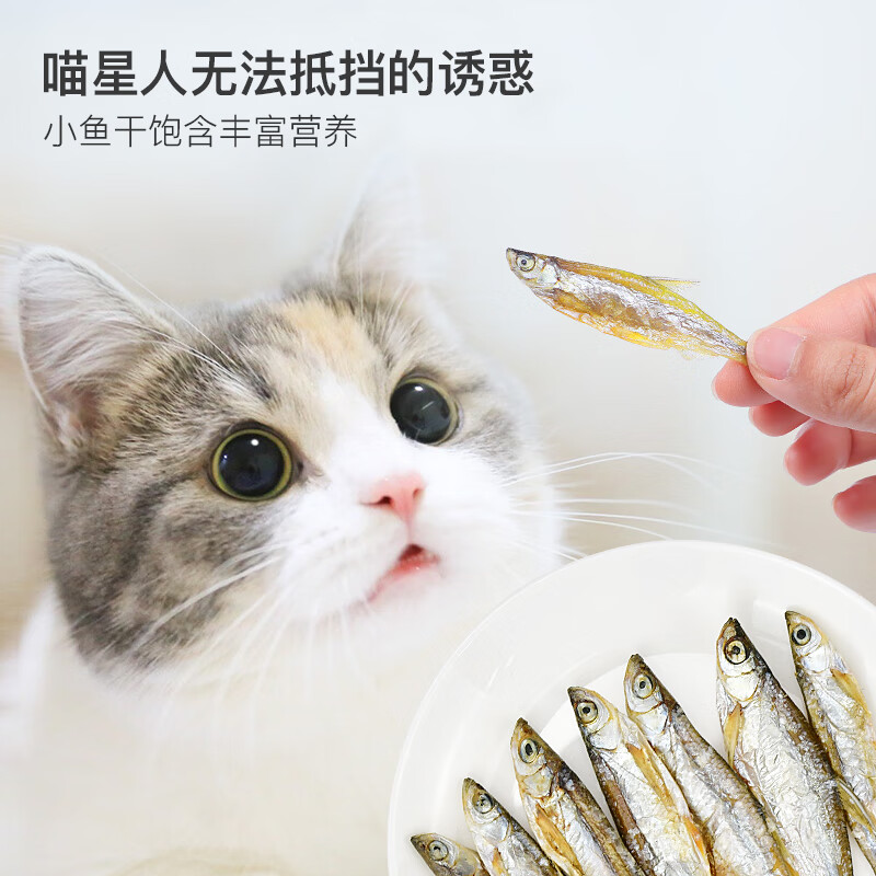 Hanhan Paradise Small Fish Dried Cat Snacks Natural Healthy Dried Fish Kitten Snacks All Stage Cat Snacks 40g