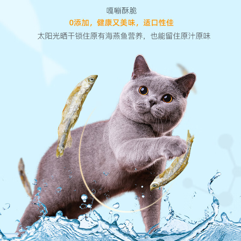 Hanhan Paradise Small Fish Dried Cat Snacks Natural Healthy Dried Fish Kitten Snacks All Stage Cat Snacks 40g