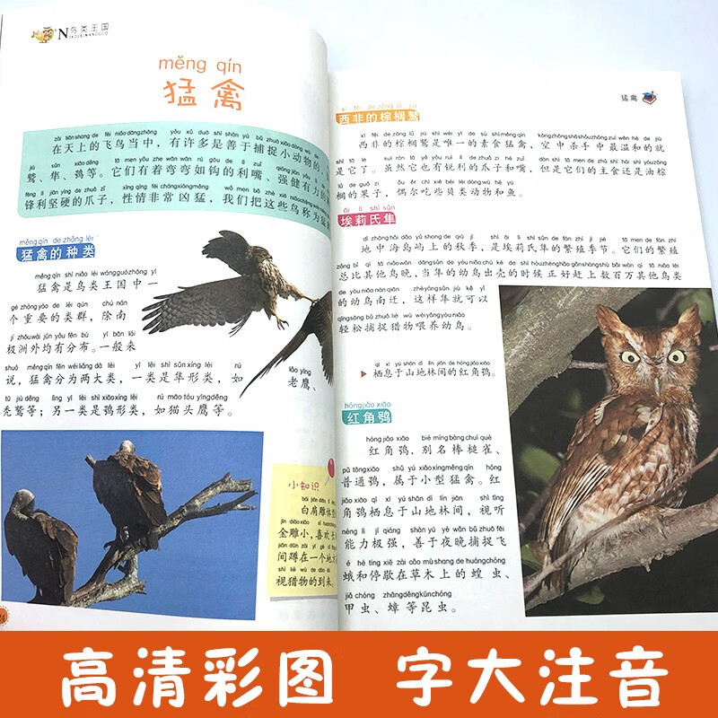 My first set of encyclopedias: The Bird Kingdom (16-karat four-color paperback with color pictures and phonetic version)