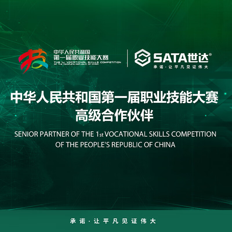 SATA 05512 Tools Needle Nose Pliers Electrician Pliers Needle Nose Pliers Multi-Function 05512 Needle Nose Pliers 8