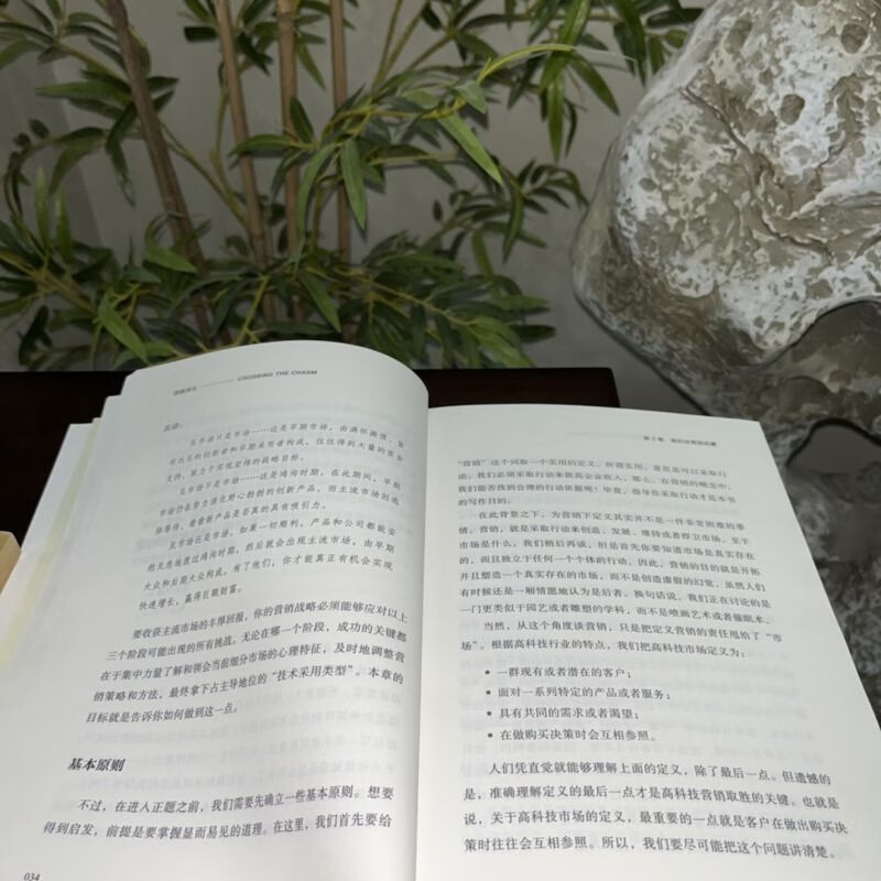 Crossing the Chasm A Guide to Marketing Disruptive Products Original Book 3rd Edition Marketing Entrepreneurship Management High-Tech Products Business Tornado Strategy Lu Qi Steve Jobs Apple Microsoft IBM