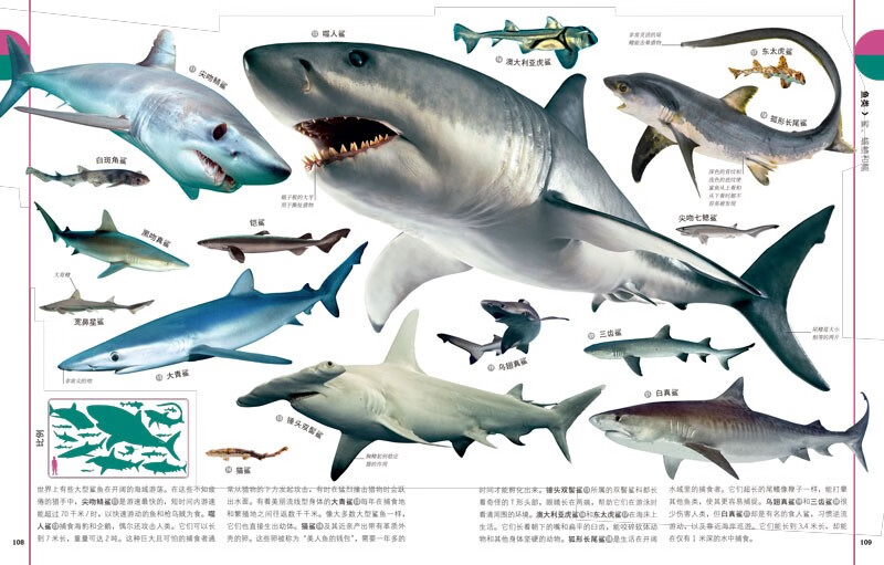 DK Children's Illustrated Encyclopedia of Natural Life Hardcover Genuine Popular Science Encyclopedia for Primary School Students 6-12 Years Old Animals, Plants and Microorganisms Introduction to Natural Observation