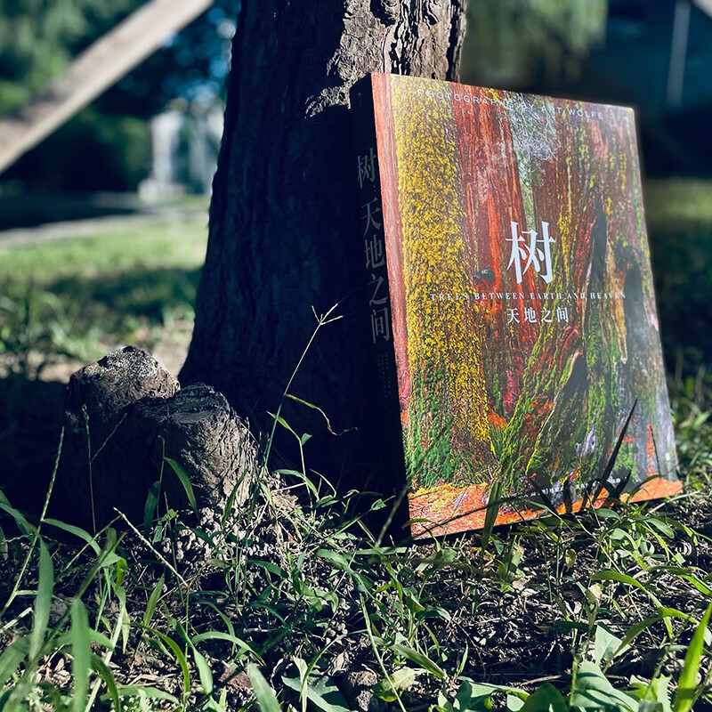 Tree Between Heaven and Earth contains nearly 300 beautiful photos, interspersed with four extra-long slides, covering the desktop with majestic momentum, rushing towards the magnificent wonders of life.