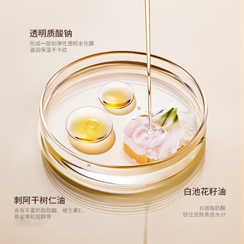 ZEESEA Concealer Palette Pores Invisible Concealer Makeup-Small Black Palette 5g Ivory New Year Gift