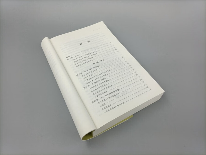 Existential Psychotherapy Professor Yaron’s Classic Textbook Deep Understanding of Death, Freedom, Loneliness and Meaninglessness Psychotherapy Translation Series