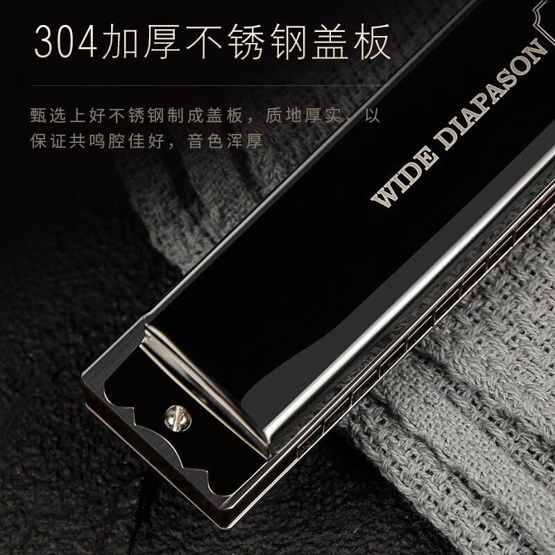 Swan Germany imported 28-hole accented harmonica, advanced adult professional performance level, polyphonic C key, beginner student self-taught instrument, black polyphonic C key + learning materials + 300 music scores