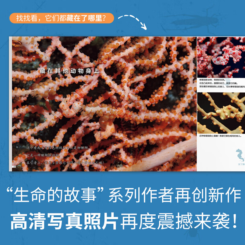 Story of Life Hidden (2 volumes) 2-3-6 years old HD real-shot animal and natural insect encyclopedia Kindergarten fun interactive book Children's animal world game book