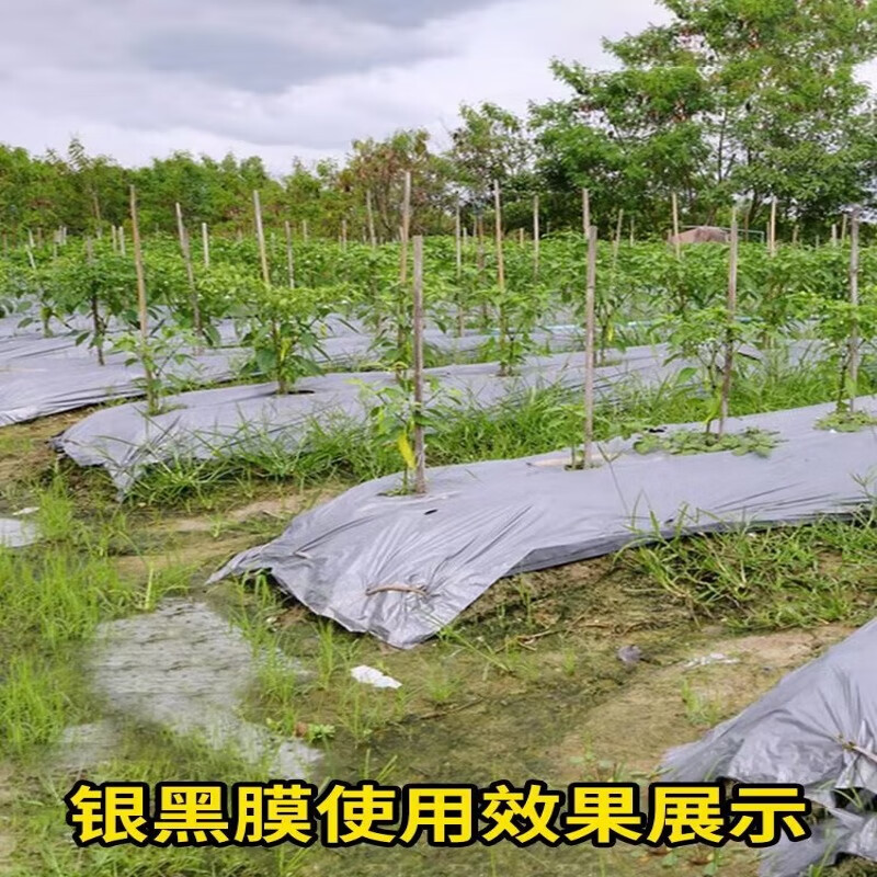 Silver and black two-color mulch film, new material, thickened insect-proof reflective mulch film covering weeding film, thermal insulation agricultural mulch film, silver black 10 pounds 1.2 silk thick 2 meters wide 150 meters long