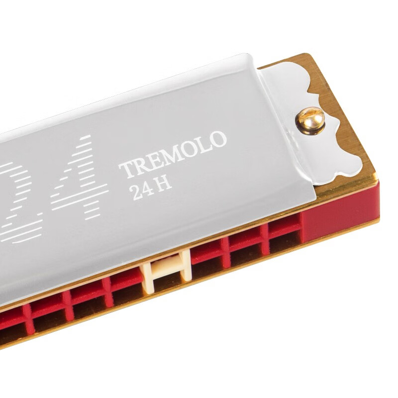 Suzuki (SUZUKI) 24-hole polyphonic harmonica Study-24 students use classroom teaching beginners C key adult self-study entry-level instrument 24 holes F key silver + leather case