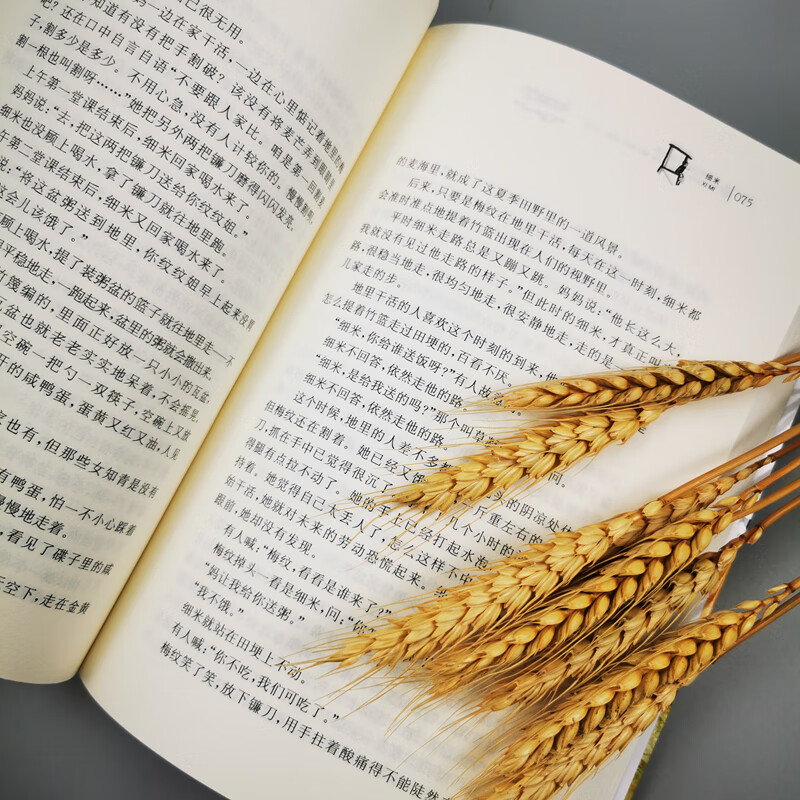 Cao Wenxuan's pure and beautiful novel Ximi/One of the representative works of Cao Wenxuan, winner of the International Andersen Award, has a unique style and focuses on the issues of spiritual shaping and personality cultivation during the growth of young people.