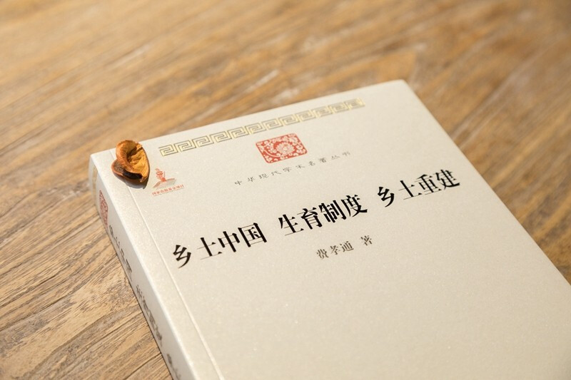 Rural China, Reproductive System, Rural Reconstruction, Fei Xiaotong’s Classic Works, Series of Modern Chinese Academic Masterpieces, Volume 3