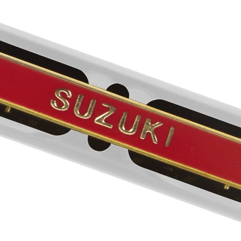 Suzuki (SUZUKI) 24-hole polyphonic harmonica Study-24 students use classroom teaching beginners C key adult self-study entry-level instrument 24 holes F key silver + leather case