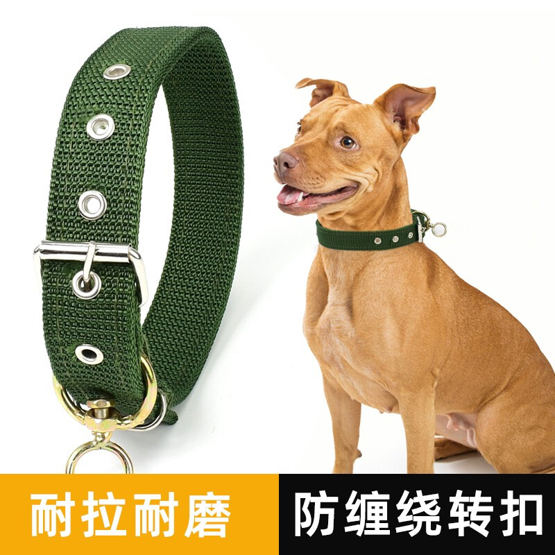 Gasgo dog collar, medium and large dog collar, pet collar, golden retriever Satsuma canvas dog collar, single row of holes