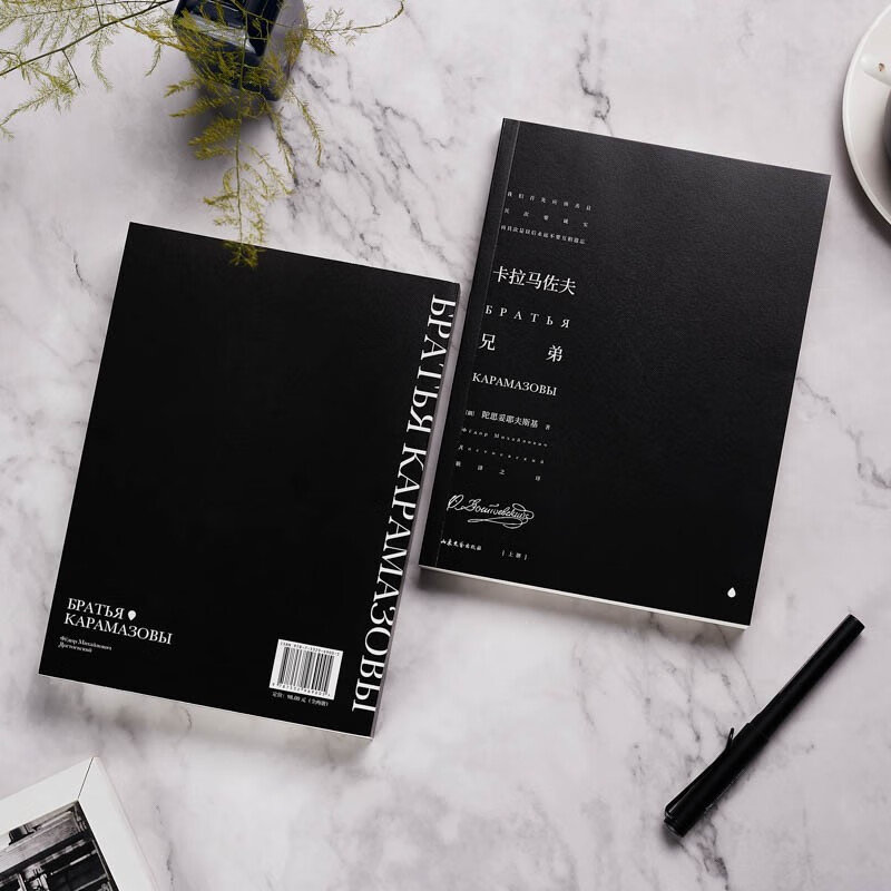 The Brothers Karamazov (recommended by Luo Xiang. If you recognize your true self, you will not live in mediocrity forever!) Novel