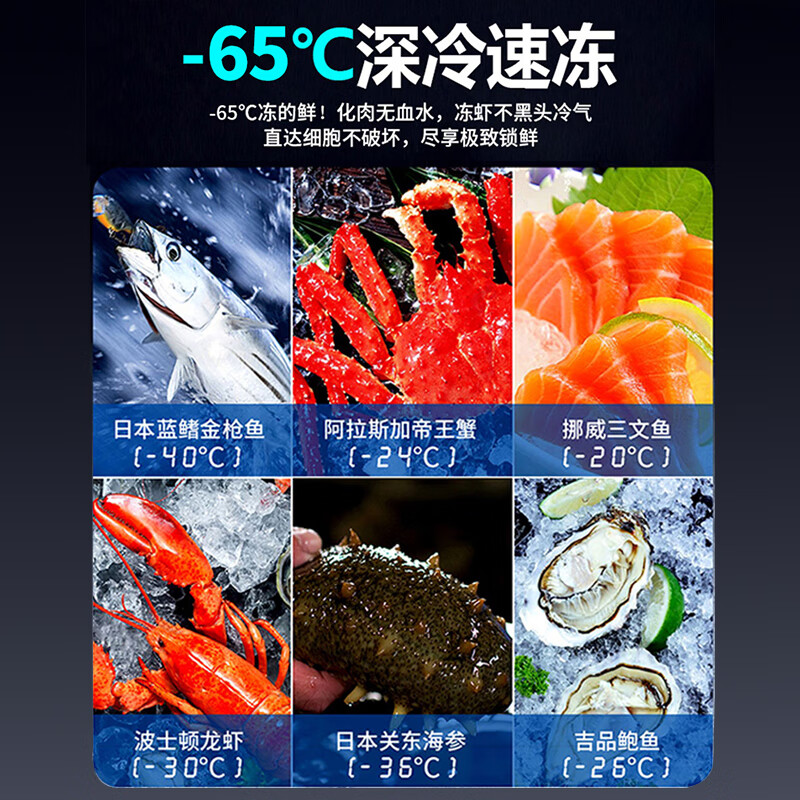 Royalstar ultra-low temperature freezer minus 40 degrees commercial large-capacity freezing sub-zero cabinet seafood deep-freezing quick-freezing refrigerator deep freezing ice cream cabinet laboratory refrigerator -40 C 156L deep freezing