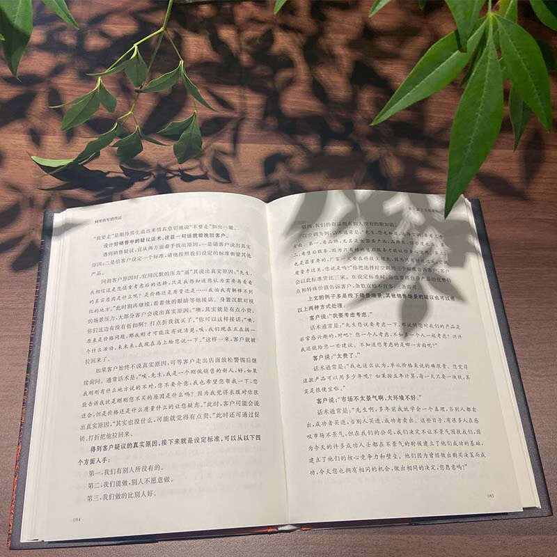 Alibaba Tiejun sales method