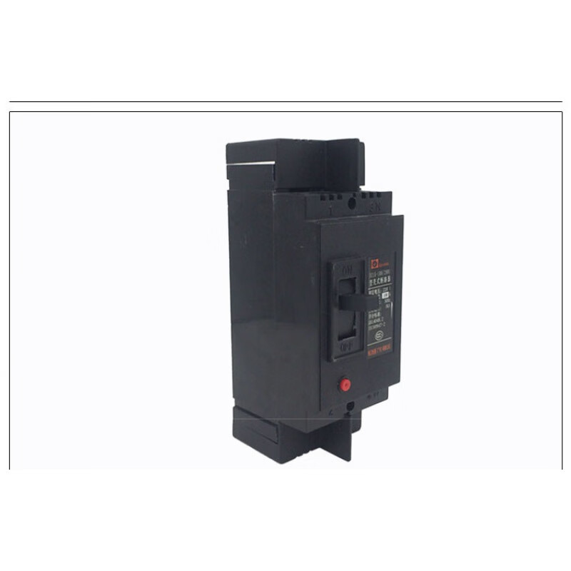Guangdong DZ15-100/2901 plastic case circuit breaker air switch 100A220V two-phase 2P 63A